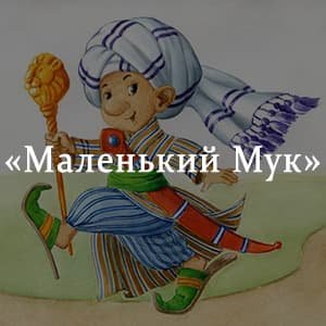 Гауф маленький МУК читательский дневник