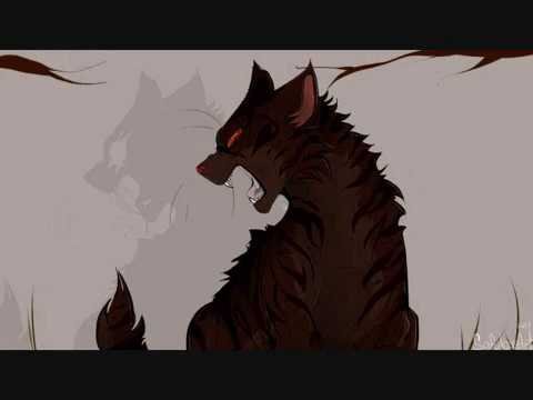 Коты-Воители шмюзвездолом
