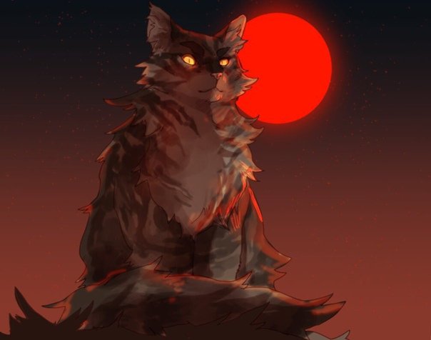Коты Воители звездолом