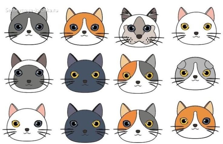 Аппликация морда кота