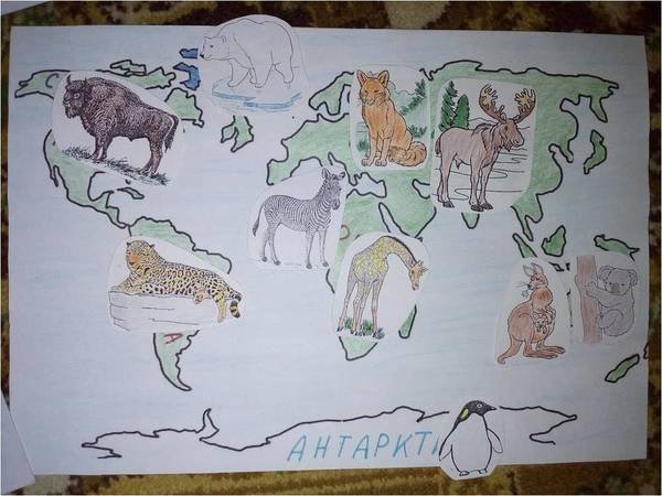 Животные по материкам Евразия