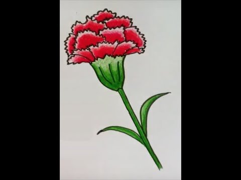 Какинарисовать гвоздику