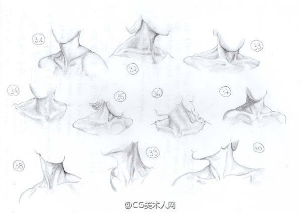 Шея рисунок
