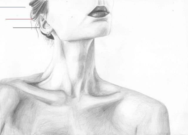Ключицы рисунок карандашом