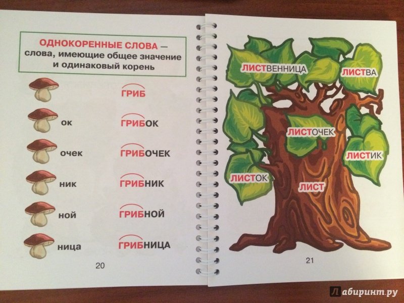 Однокоренные слова для дошкольников
