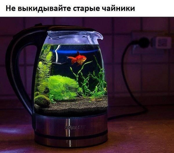 Необычные аквариумы