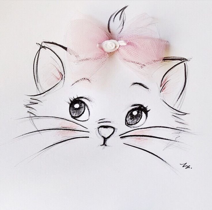 Рисунки котиков
