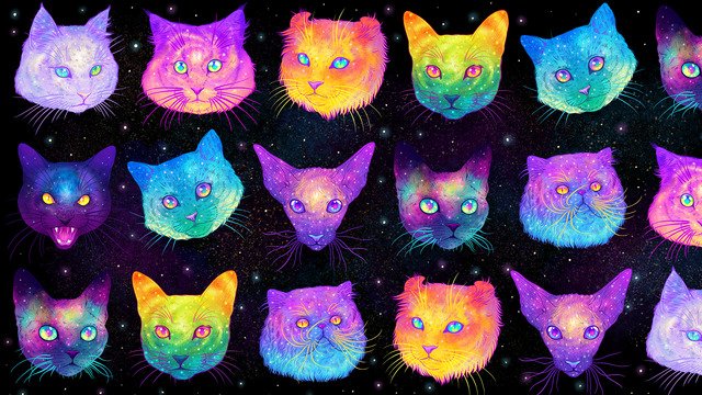 Разноцветная кошка