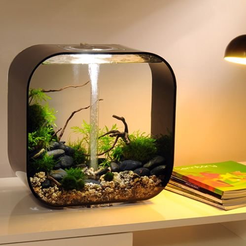 Аквариум BIORB Flow 30 led
