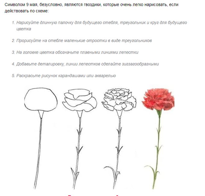 Гвоздики схема рисования