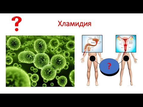 Хламидии