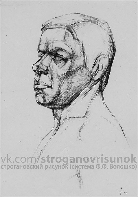 Рисунок головы Строгановка