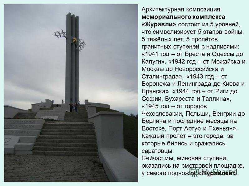 Саратов парк Победы Журавли