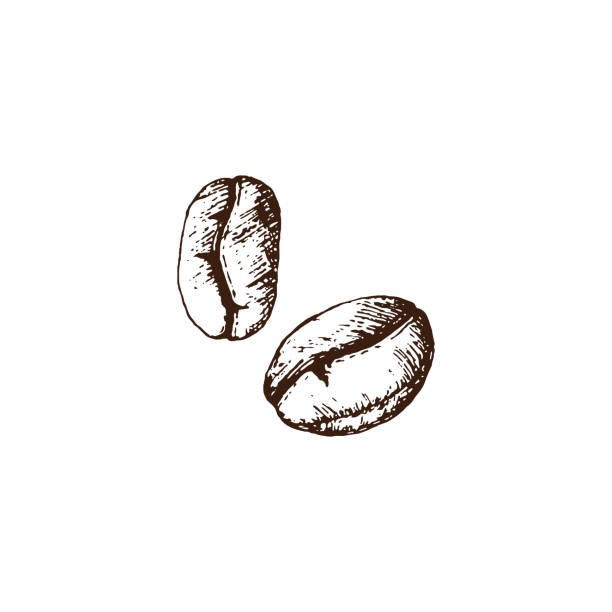 Зерна кофе рисунок