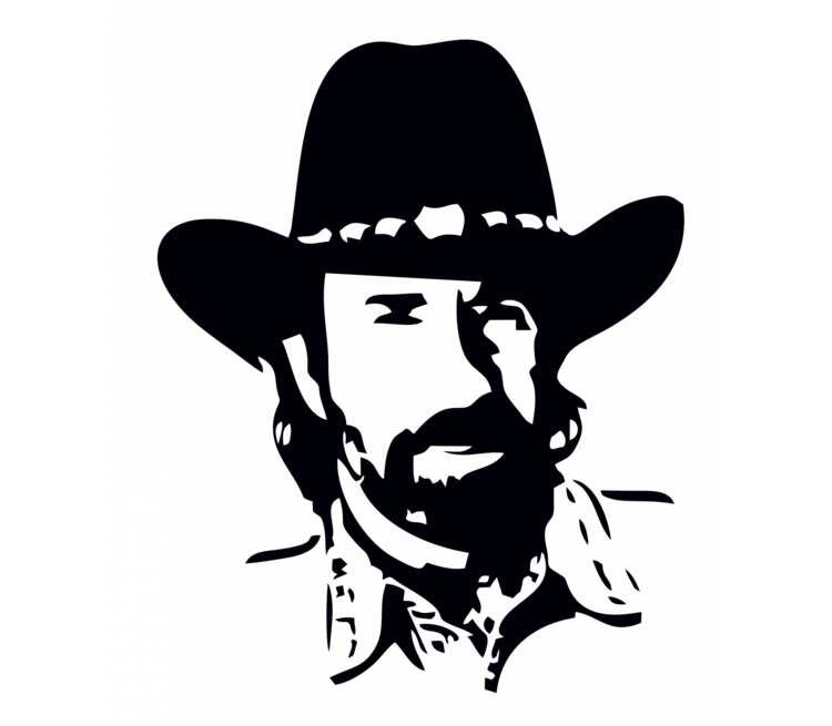 Арт чак норрис