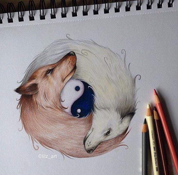 Идеи для рисования животных