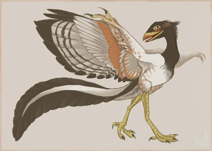 Archaeopteryx lithographica