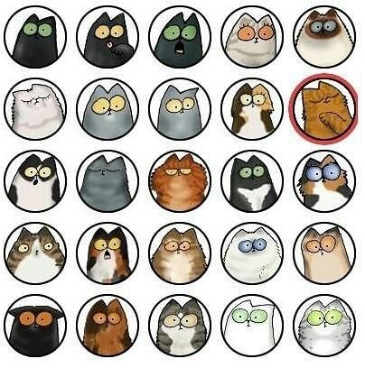 Стикер "котик"