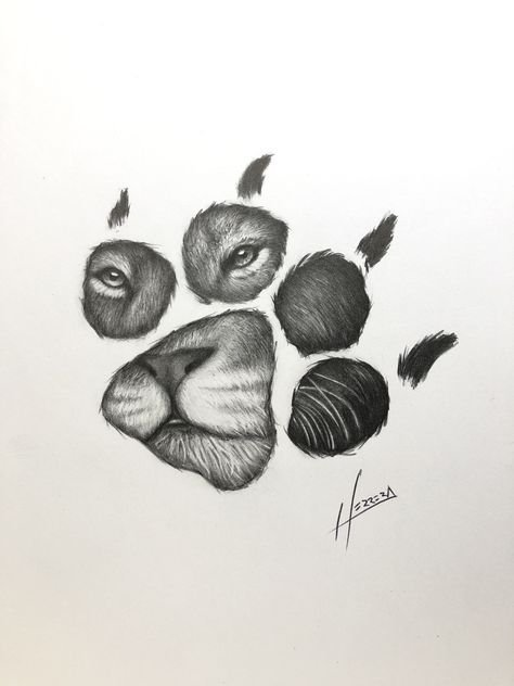 Лапа льва