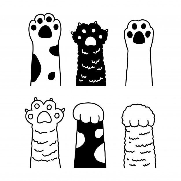 Кошачьи лапки трафарет