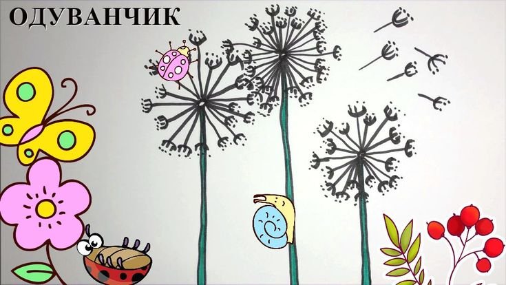 Одуванчика легко и быстро