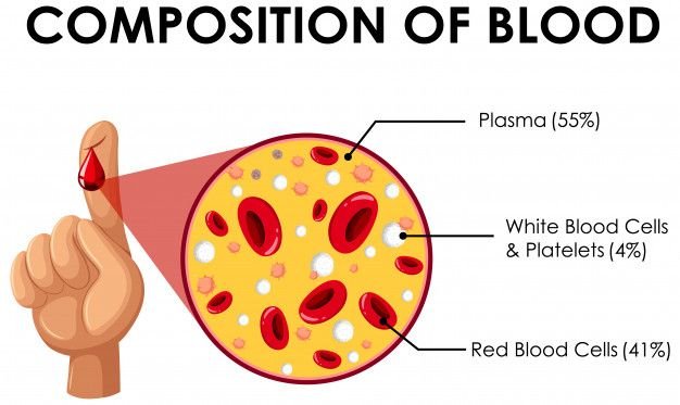 Blood Composition