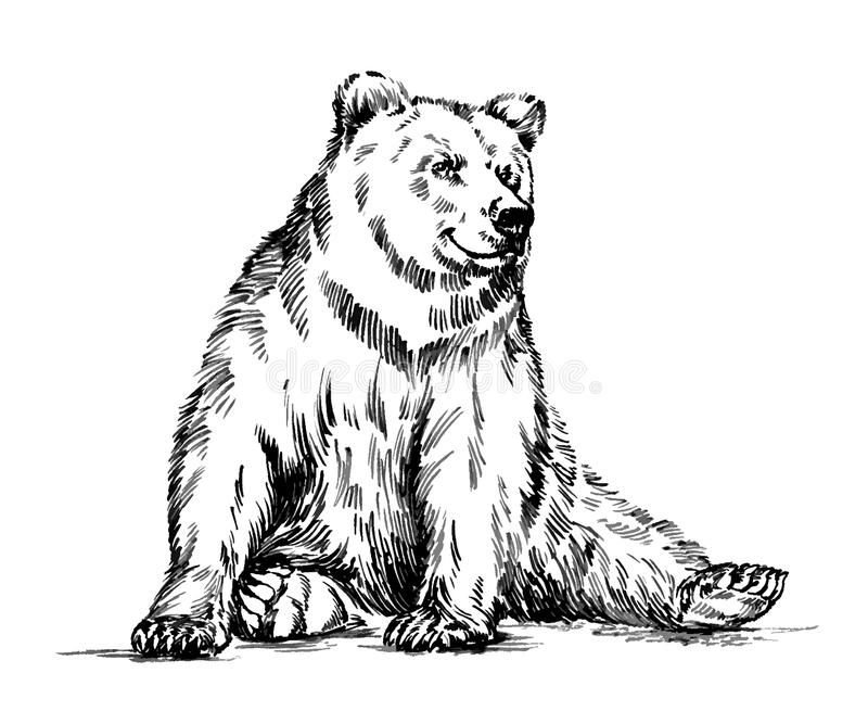 Рисунки для выжигания медведь