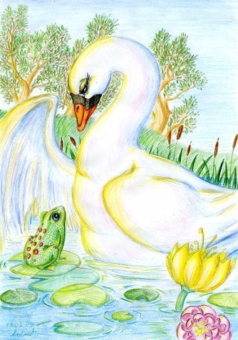 Рисунки зказрк