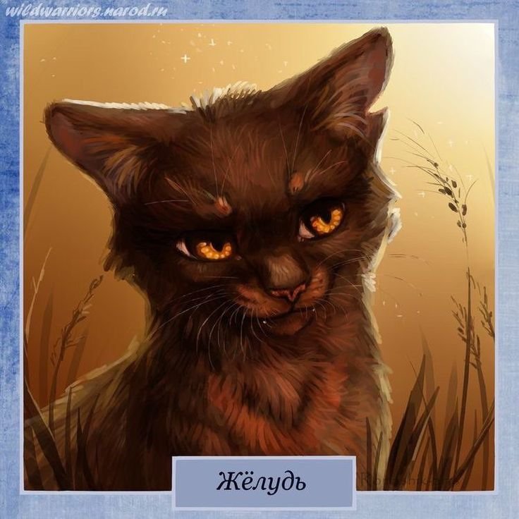 Жёлудь коты Воители арт