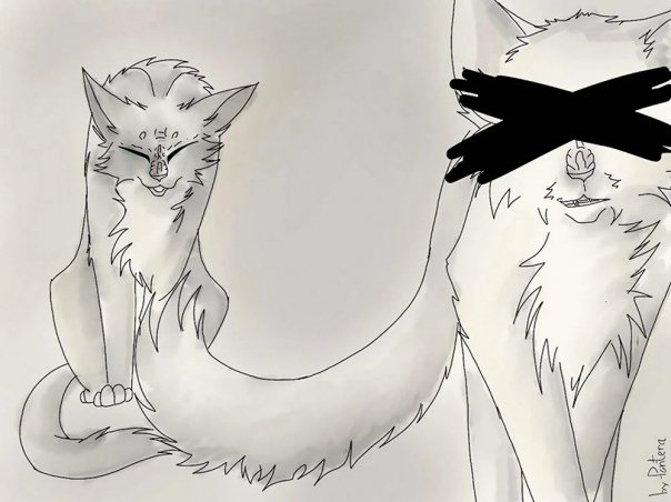Коты Воители для срисовки