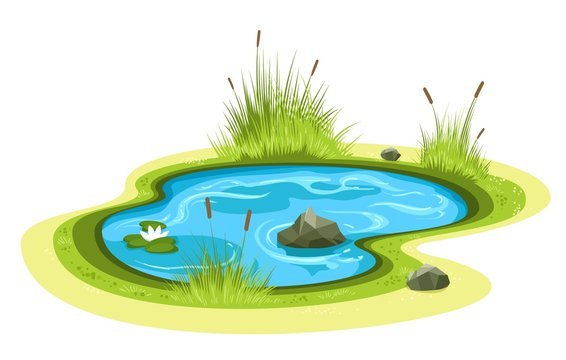 Пруд иллюстрация