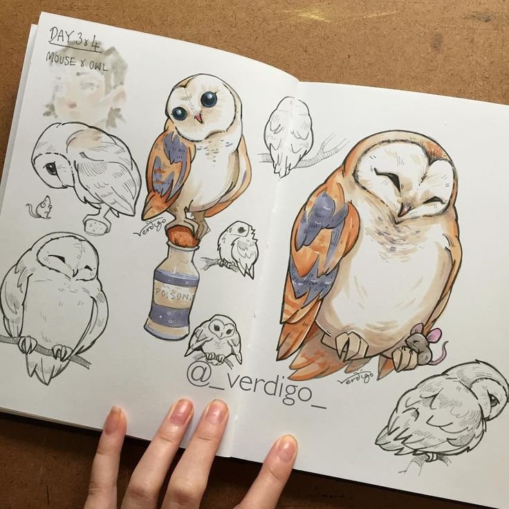Идеи для рисунков