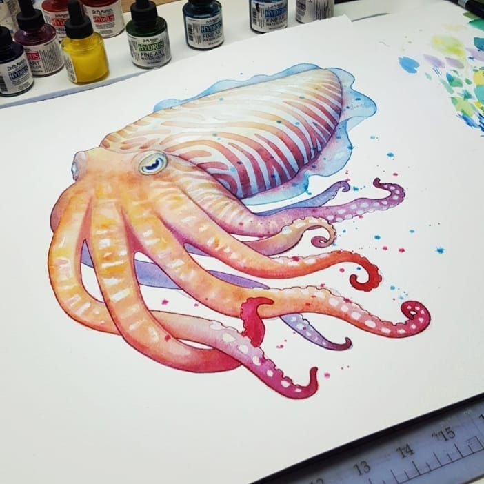 Кальмар рисунок акварелью