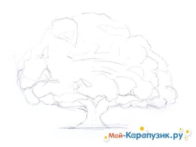 Дуб карандашом