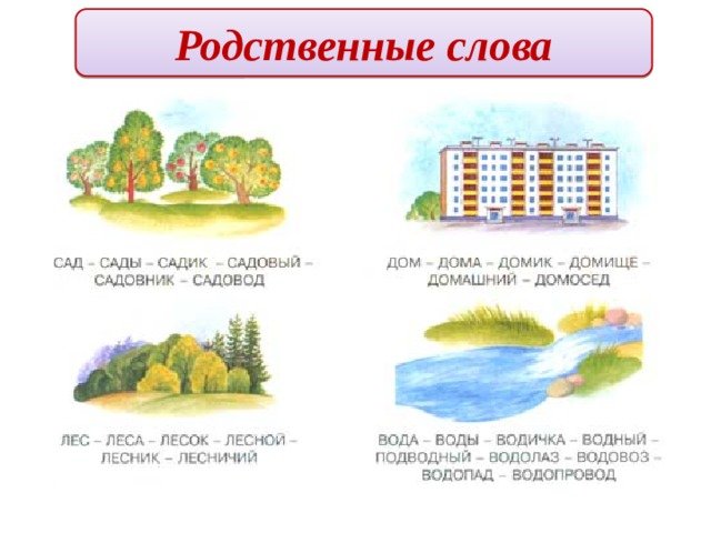 Родственные слова картинки