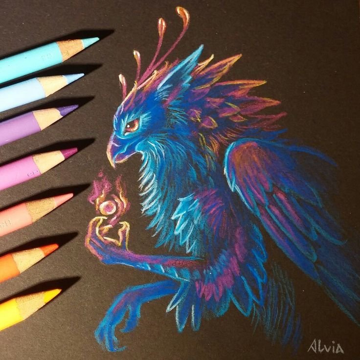 Alvia Alcedo рисунки