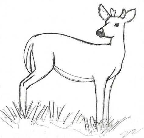 Косуля раскраска
