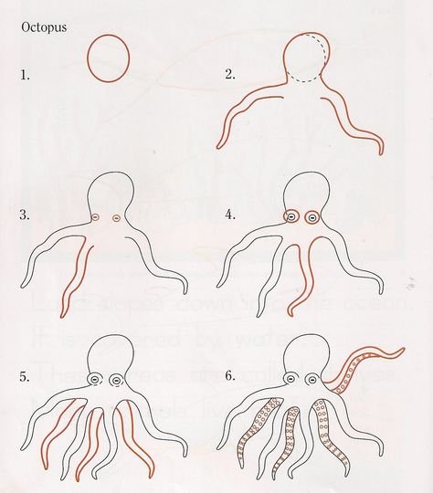 Рисуем осьминога поэтапно