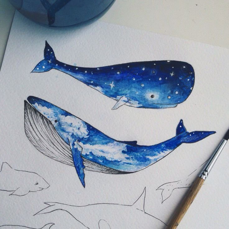 Рисунок кита для срисовки