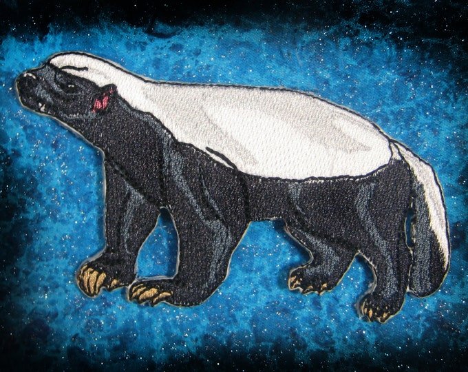 Медоед гравюра