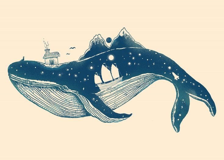 Рисунки китов