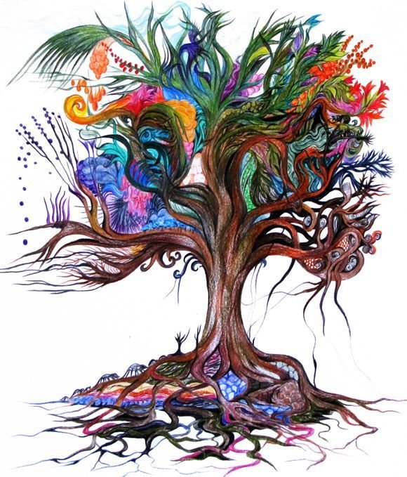 "Tree of Life" ("дерево жизни") by degree