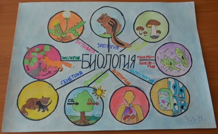 Плакат по биологии