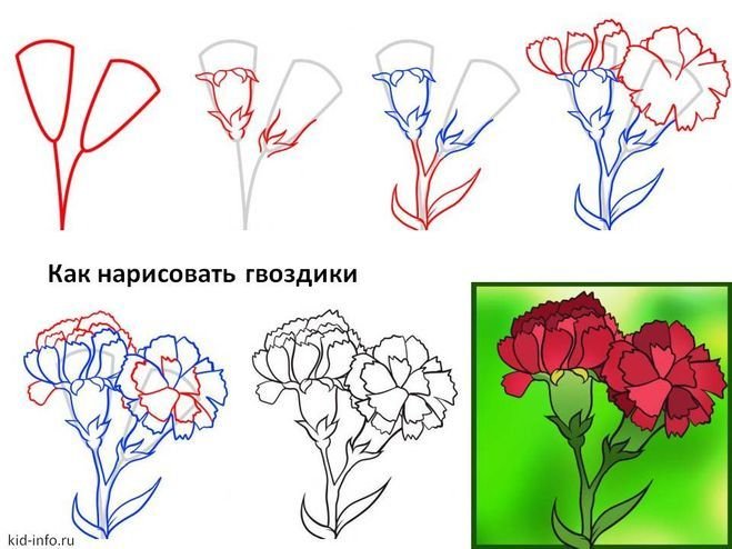Как нарисовать гвоздики