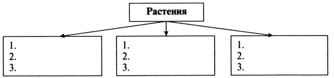 Многообразие растений диаграмма