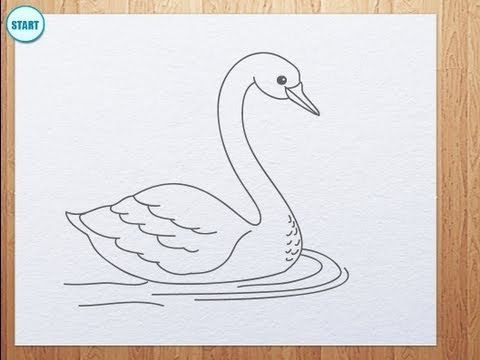 Лебедь рисунок