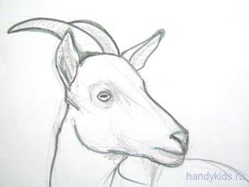 Рисунок для срисовки легкий коза