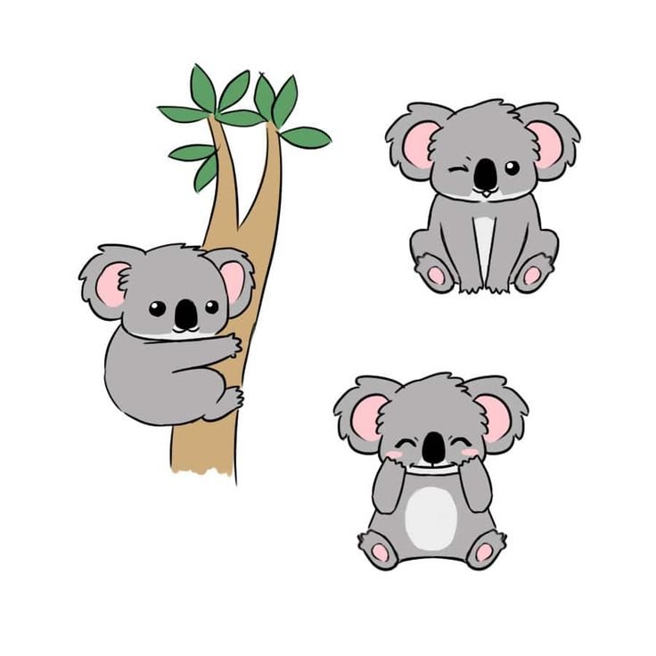 Нарисовать коалу
