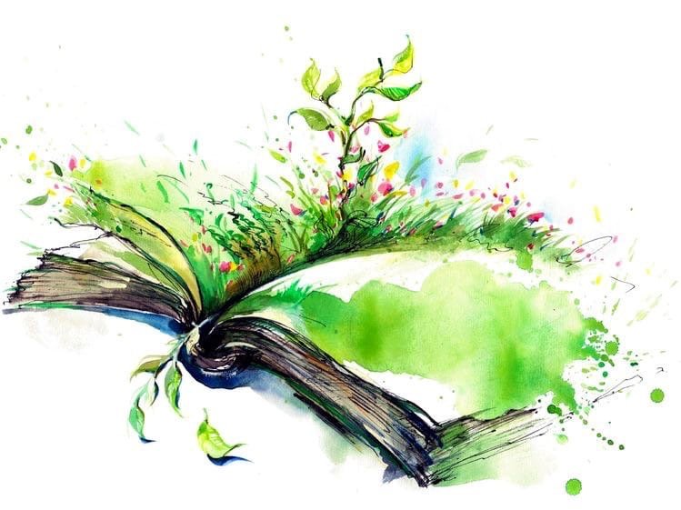Акварельные иллюстрации к книгам