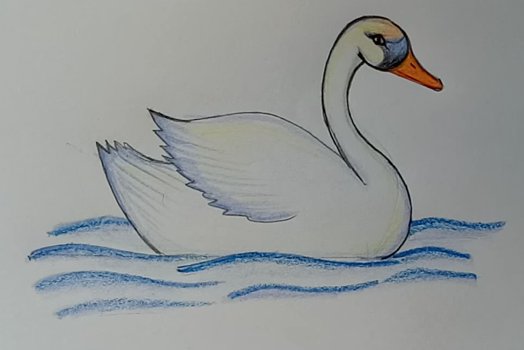 Рисование лебедя